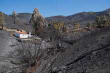 Fogos em Mouriscas e Vila de Rei não deram descanso aos bombeiros