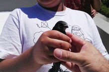 Centro de Recuperação e Investigação de Animais Selvagens