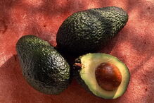 Casca do caroço do abacate