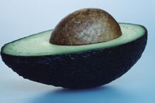 Casca do caroço do abacate