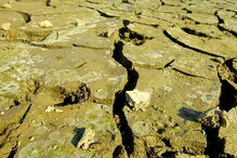 Sinais evidentes de seca