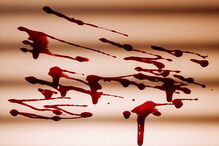 Foram encontrados corpos desmembrados na casa do canibal