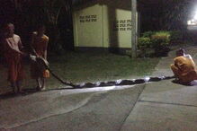 Freira foi atacada pela cobra quando foi à casa de banho