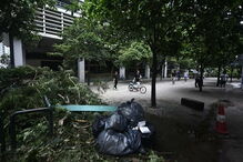 Os estragos causados pelo tufão que passou por Macau