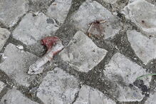 Local do homicídio e homenagens de amigos