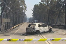 Ansião, António Silva, Dina Duarte, Sertã, Pedrógão Grande