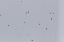 Crime junto à discoteca Selfie