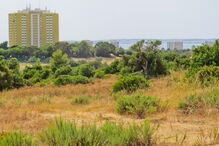 Terreno onde o grupo Pestana prevê construir uma nova unidade de cinco estrelas com abertura prevista para 2019