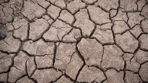 Algumas regiões do Baixo Alentejo e Algarve em seca severa
