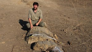 Paleontólogos descobrem maior floresta fossilizada de África 