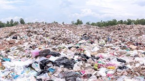 Prisão para quem usar sacos de plástico no Quénia