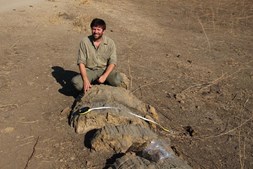 O português Ricardo Araújo e dois paleontólogos moçambicanos anunciaram a descoberta da mais extensa floresta fossilizada do continente africano