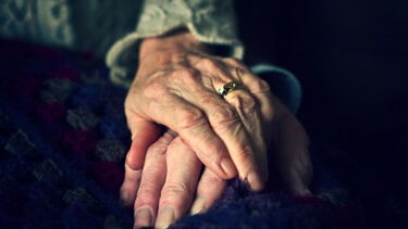 "Arrumaram-na naquele sítio": Filho e nora trancam cozinha para idosa morrer à fome e sede