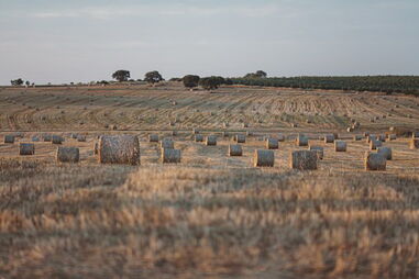 Onda de calor no Alentejo e Vale do Tejo