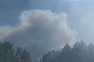 Conheça 'Trup', o cão bombeiro