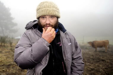 António Queirós, Casa dos Segredos, Porto, Câmara, eleições, candidatura, reality show