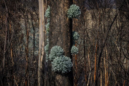 2017-08-31_20_54.54 Verde1.jpg