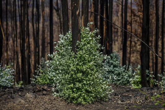 2017-08-31_20_54.54 Verde2.jpg