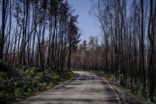 2017-08-31_20_54.55 Verde3.jpg