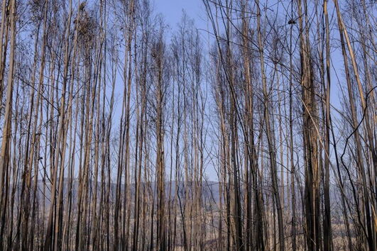 2017-08-31_20_54.57 Verde5.jpg