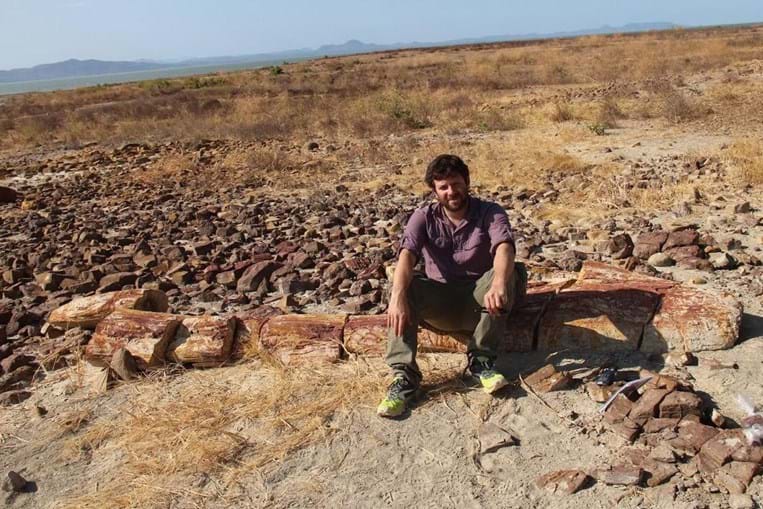 O português Ricardo Araújo e dois paleontólogos moçambicanos anunciaram a descoberta da mais extensa floresta fossilizada do continente africano