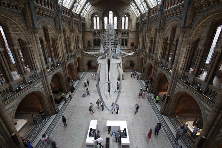 Museu de História Natural de Londres