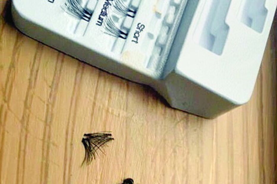 Confundiu mosca com pestana falsa