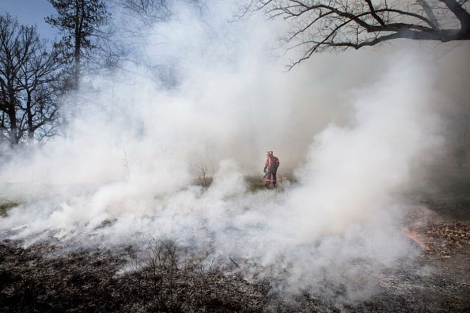 Fogos no Canadá já destruíram 300 casas