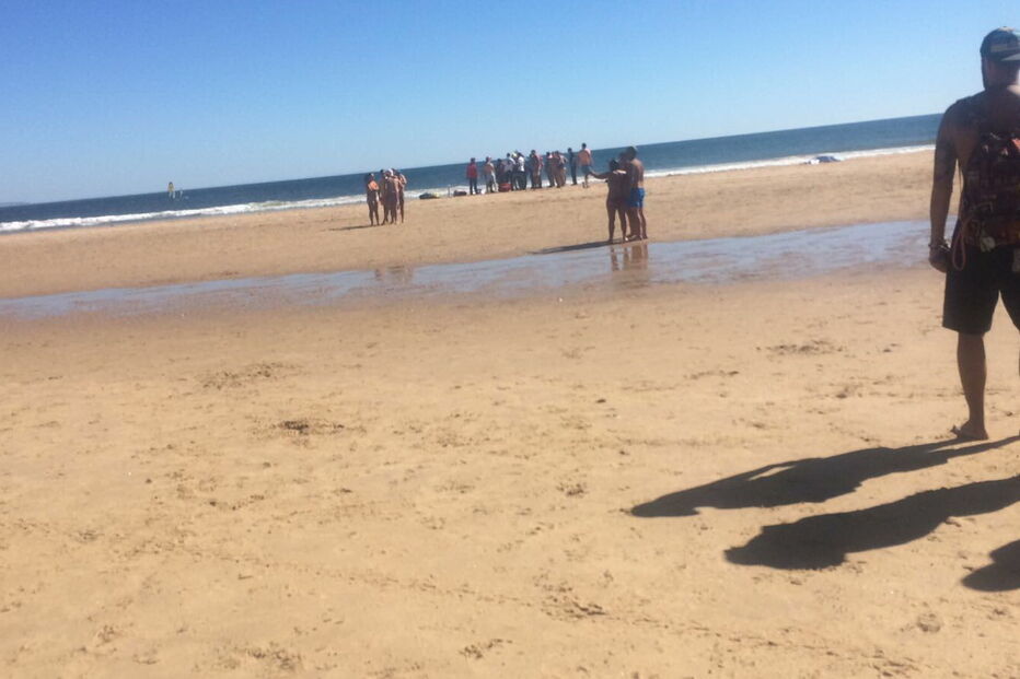 Avião ligeiro aterra de emergência em Almada