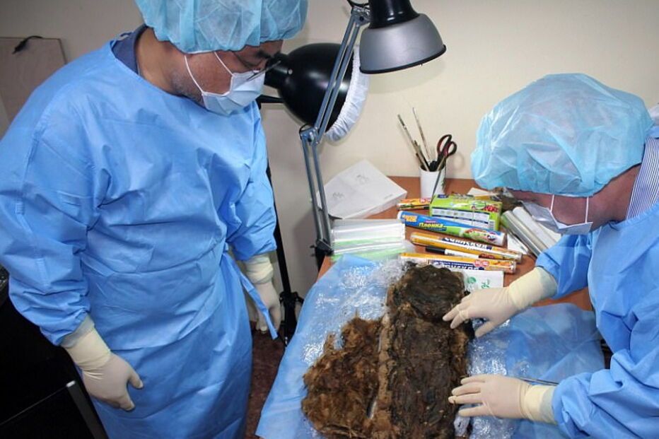 Princesa é encontrada 900 anos depois com cabelo e pestanas