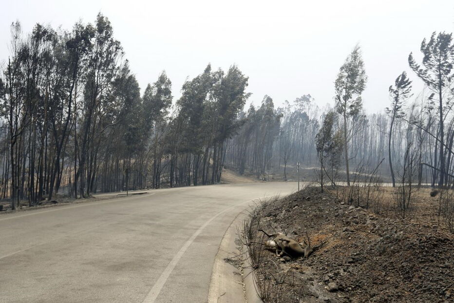  Faz este sábado sete semanas que o incêndio deflagrou, em Escalos Fundeiros, Pedrógão Grande