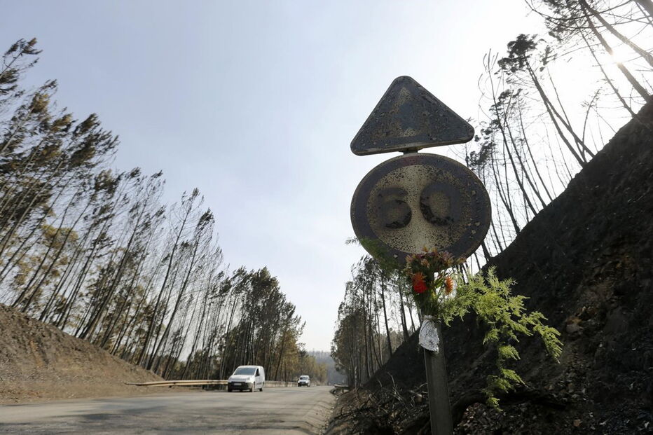  Faz este sábado sete semanas que o incêndio deflagrou, em Escalos Fundeiros, Pedrógão Grande