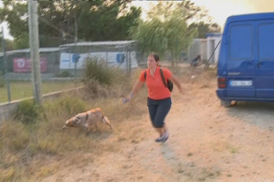 Sesimbra, Setúbal, Internet da Autoridade Nacional da Proteção Civil, Lagoa de Albufeira, acidentes e desastres, incêndios