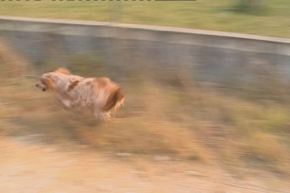 Sesimbra, Setúbal, Internet da Autoridade Nacional da Proteção Civil, Lagoa de Albufeira, acidentes e desastres, incêndios