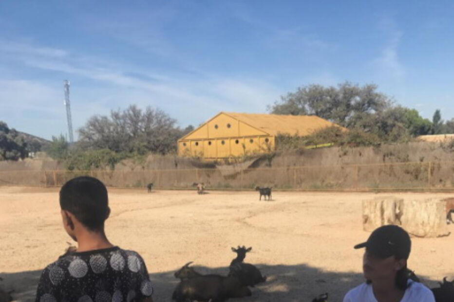 Georgina e Cristianinho passam dia no Zoo