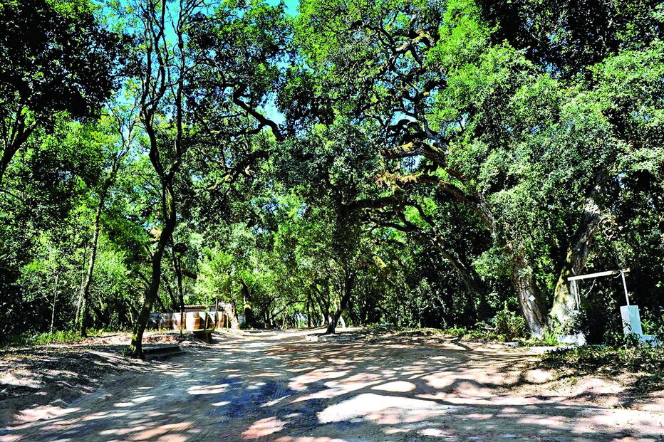 Bombarral, Quinta, Santuário do Bom Jesus do Carvalhal, Buddha Eden, Europa, Bacalhôa Buddha Eden, Loridos, Altura, Palácio Gorjão, artes, cultura e entretenimento