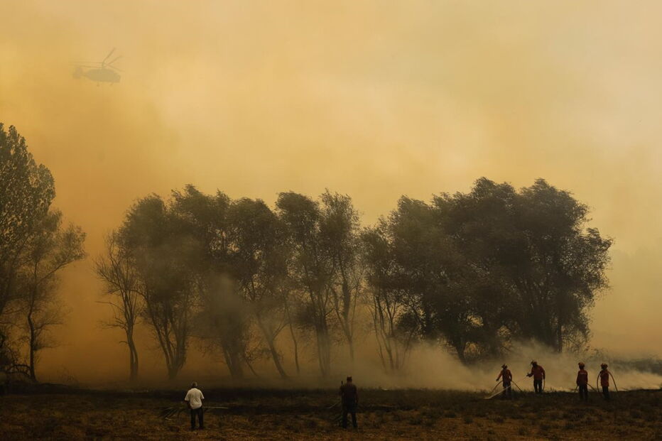 Incêndio na Mealhada obriga ao corte da A1 nos dois sentidos
