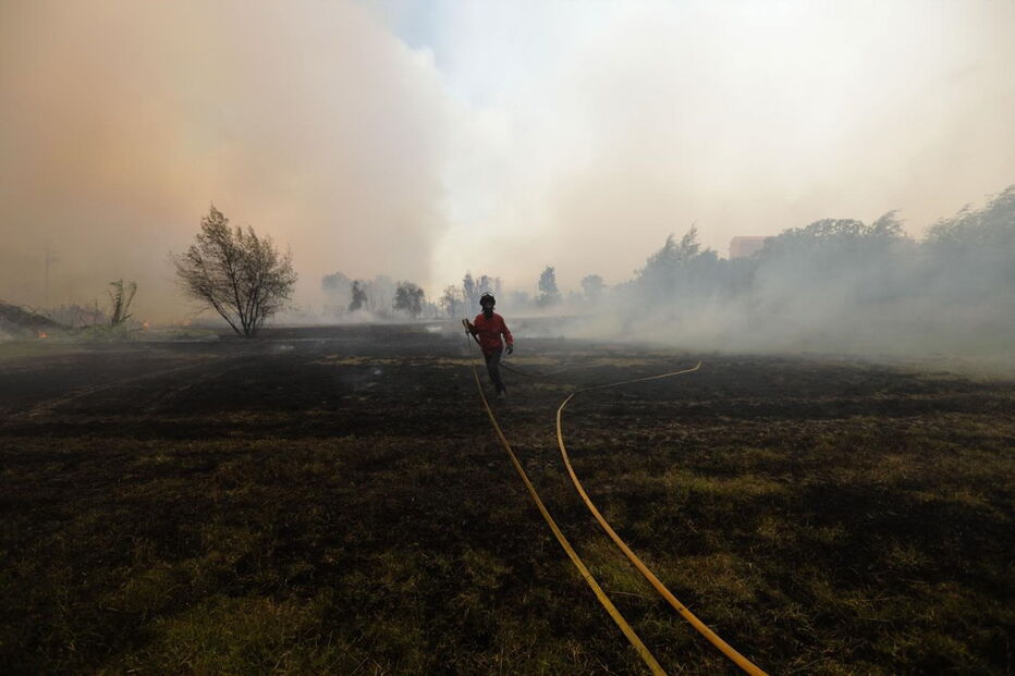 Incêndio na Mealhada obriga ao corte da A1 nos dois sentidos