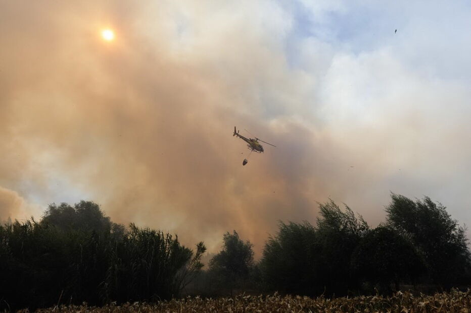 Incêndio na Mealhada obriga ao corte da A1 nos dois sentidos