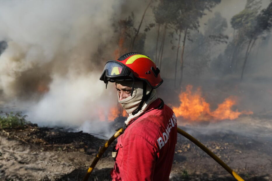 Incêndio na Mealhada obriga ao corte da A1 nos dois sentidos