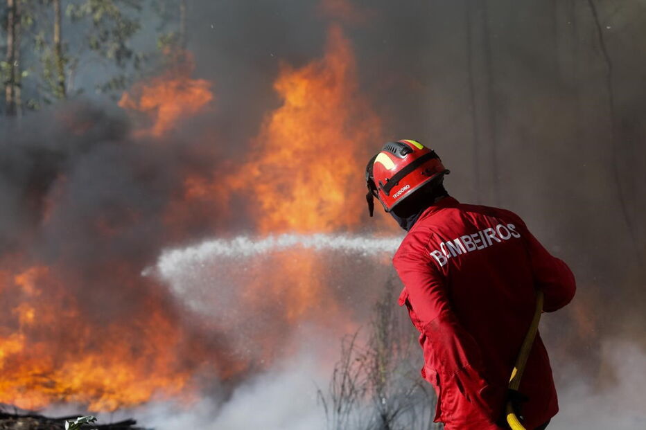 Incêndio na Mealhada obriga ao corte da A1 nos dois sentidos