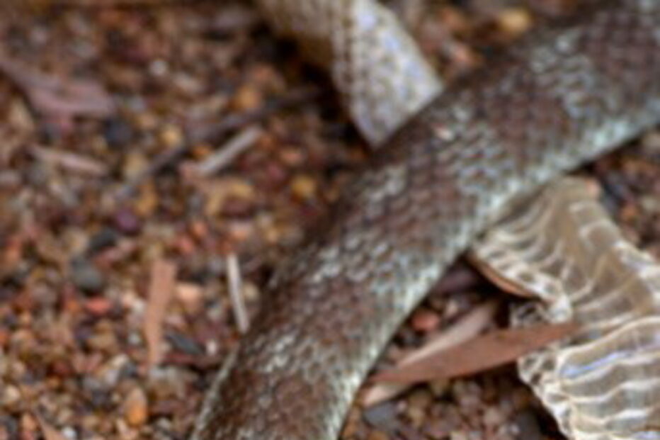 2017-08-11_15_43.56 129718291.jpg