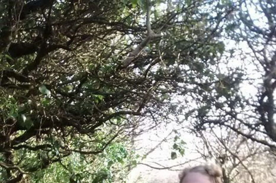 Britânica presa, Portugal, sophie grey 