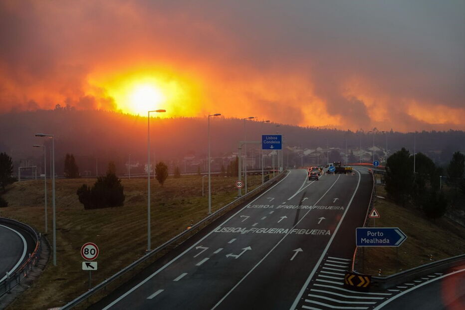 Incêndio em Cantanhede