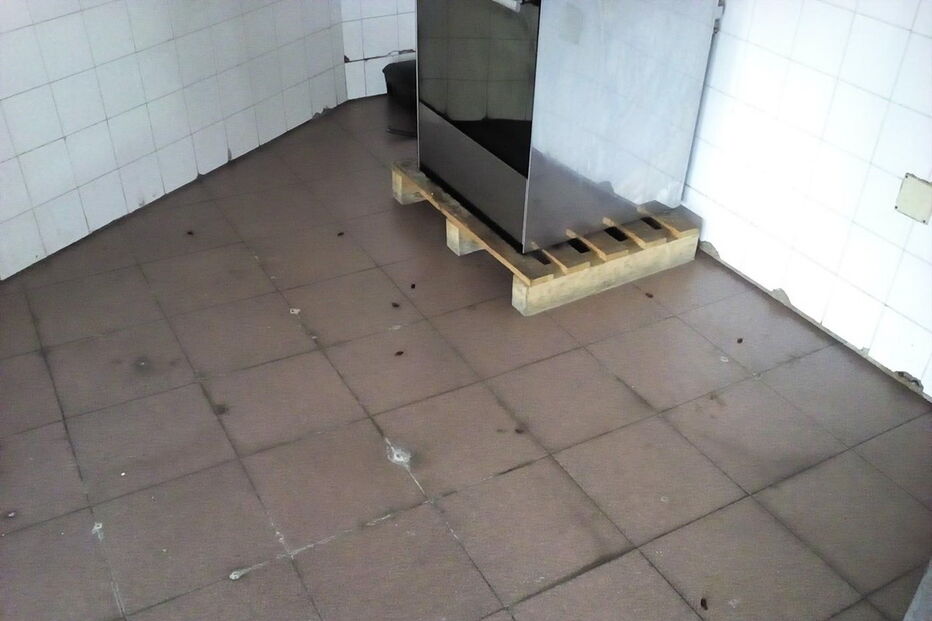 Baratas espalhadas no chão da cozinha do posto da GNR da Trofa. Comando Territorial do Porto confirmou ‘invasão’ de insetos e promete desinfestação