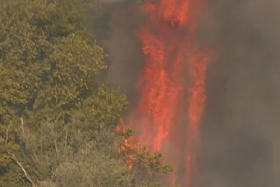 Incêndio em Torres Vedras