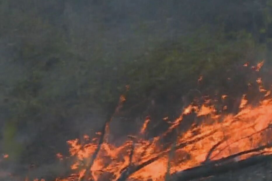Incêndio em Torres Vedras