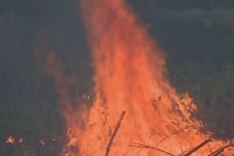 Incêndio em Torres Vedras