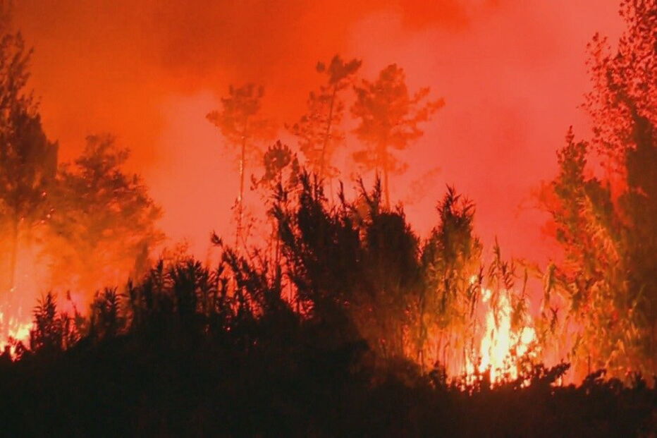 Incêndio na Mealhada