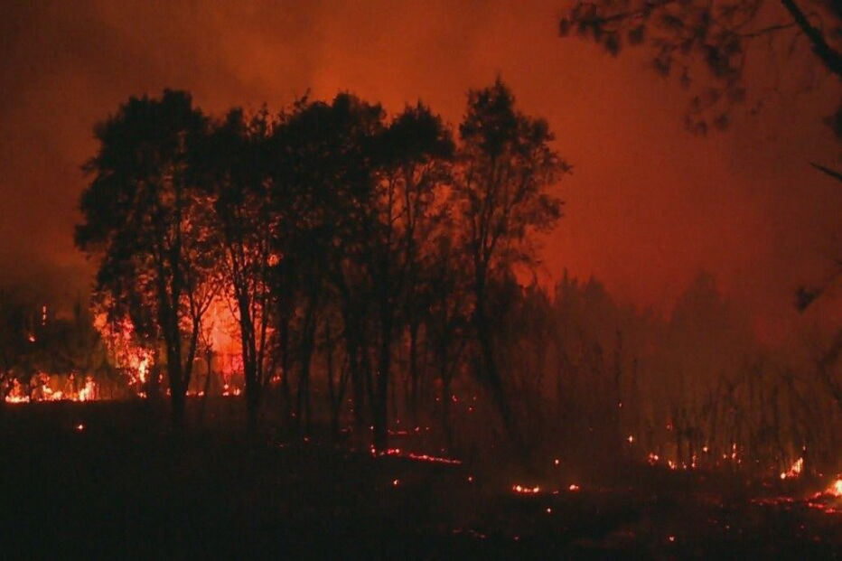 Incêndio na Mealhada